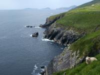 An der Slea Head Road gegen Blasket Islands - Dingle, Co. Kerry